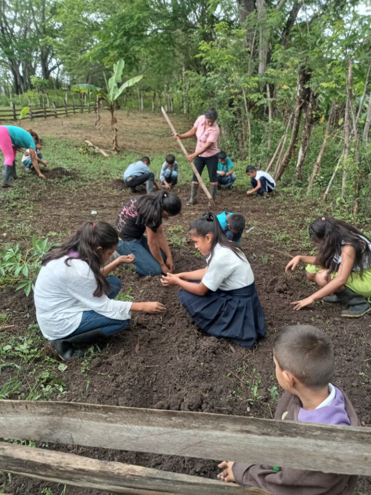 Madres de familia integradas en la elaboración del huerto escolar.
<a href="/nerp_de/">NERP:NUESTRA SEÑORA DE GUADALUPE</a> @HermanasNepr <a href="/CentroQuezada/">Centro Escolar Agustina Miranda De Quezada</a> <a href="/Mined_Camoapa/">BYRON JAVIER MENDEZ BELLO</a> <a href="/CastellonHnos/">Hnos.Castellon Lopez</a> <a href="/FREDDYS33676391/">NEPR SILVIA SUAREZ</a>