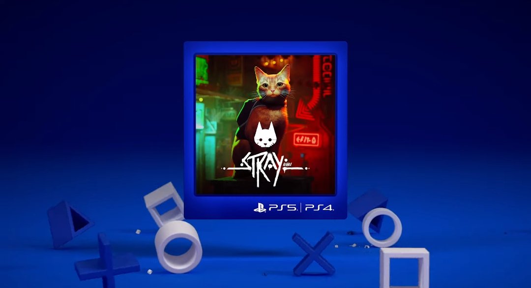 Pyo 5️⃣ tweet media