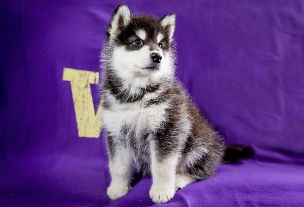 David J.X. González tweet media