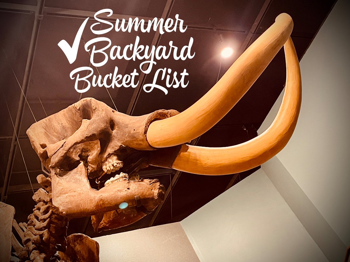 I hear that the Museum is participating in the <a href="/Visit_Tally/">Visit Tallahassee</a> Backyard Bucket List this month. You have to post a pic on IG using #TallyBucketListSweepstakes. I’m more than happy to say cheese and help you win a fabulous prize. More info here: visittallahassee.com/backyardbucket…