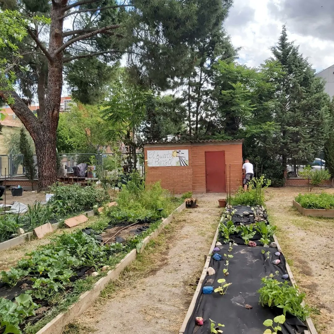 saramorenovalcarcel tweet media