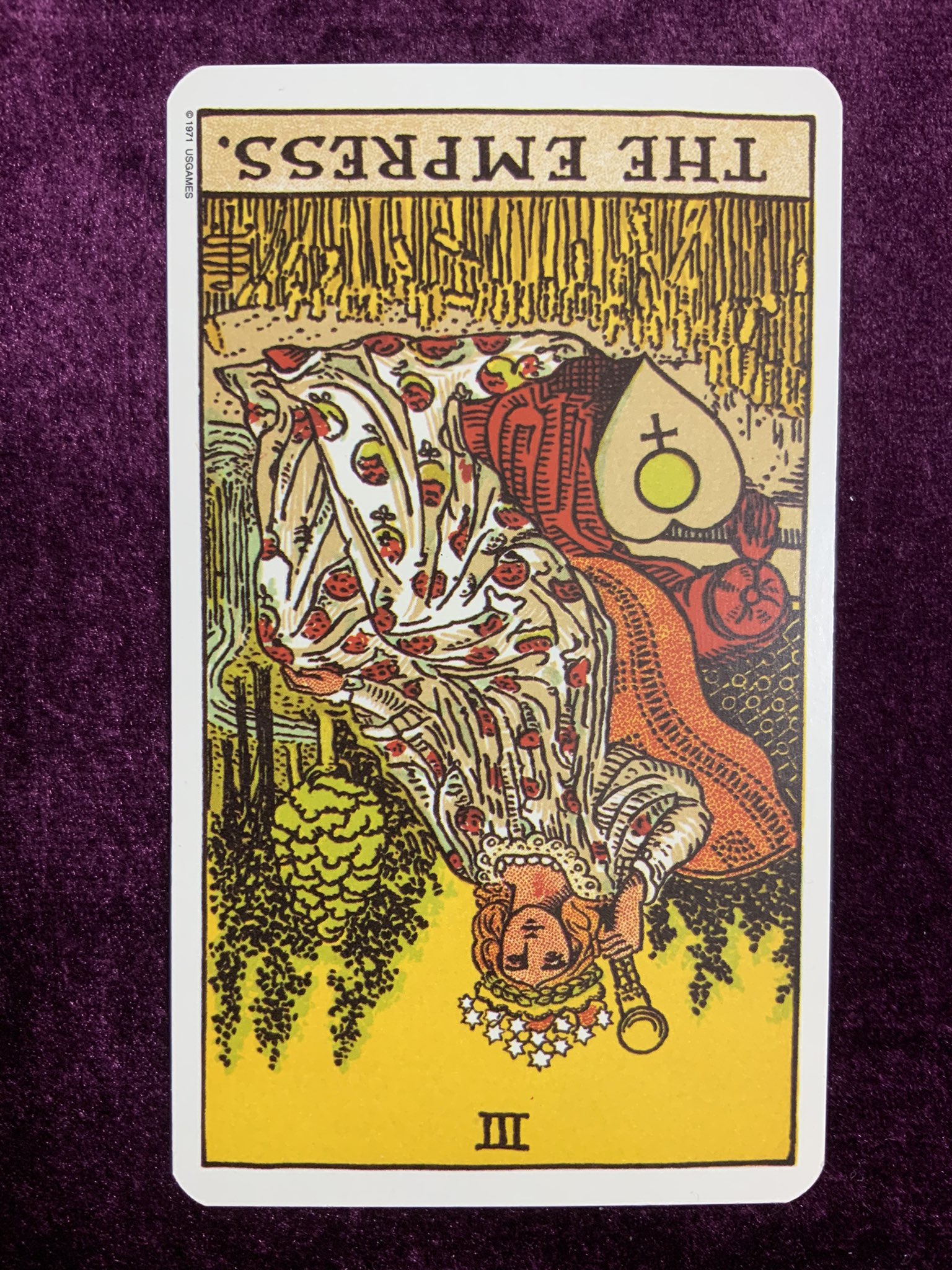 サウスレイク おはようございます 本日のカード The Empress 女帝 Reverse 逆位置 キーワード 強欲 感情的 押し付け 支配的愛情 本日のポイント 自分の都合を押し付けずに 冷静に客観的な視点で事にあたる タロット タロットカード １枚引き