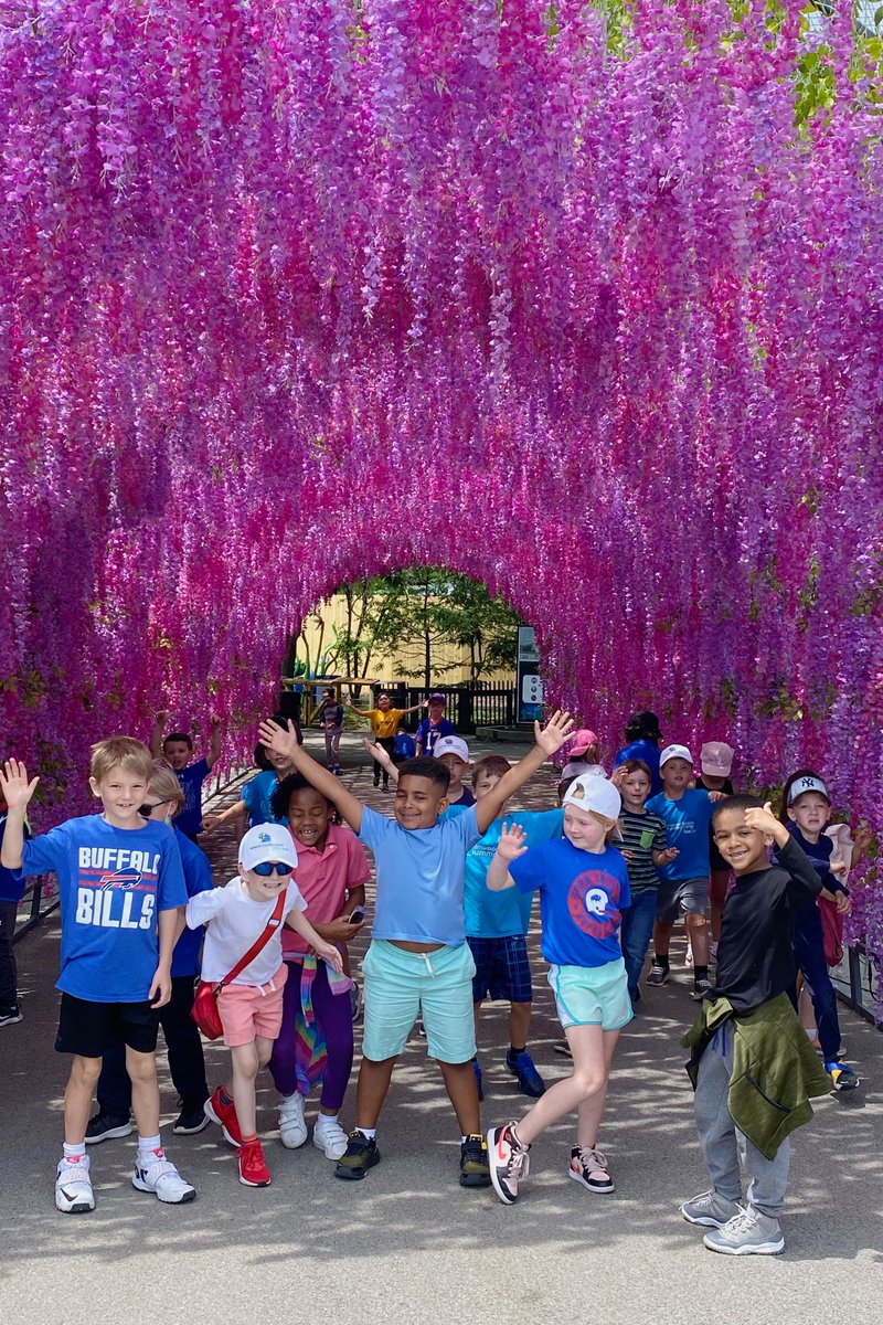 What a beautiful day for a field trip! Our first graders ventured out to the Buffalo Zoo to observe the animals in their habitats and learn more about the natural world! #visitthezoo #elmwoodfranklin #thebuffalozoo