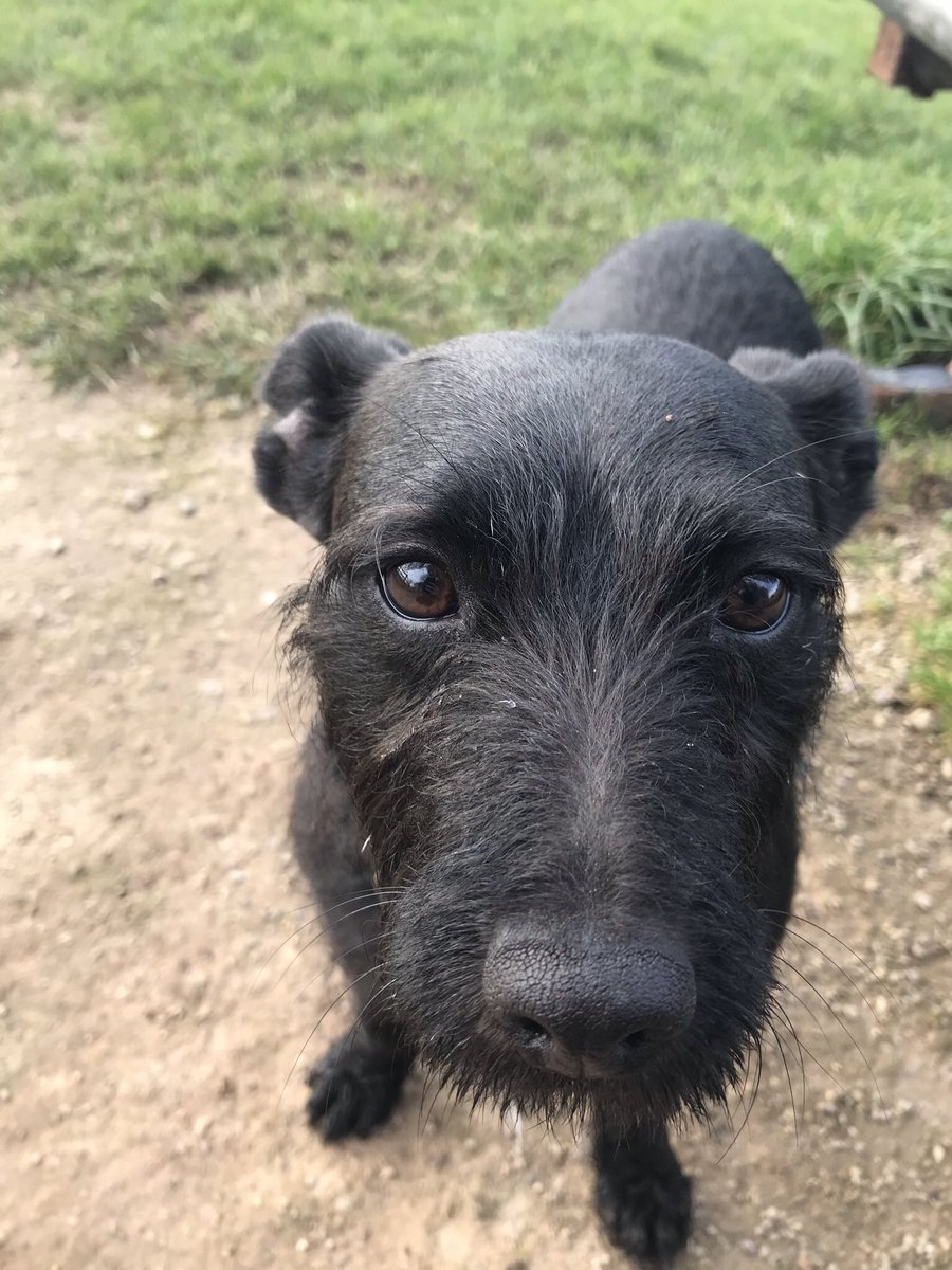 Grace Dunn tweet media