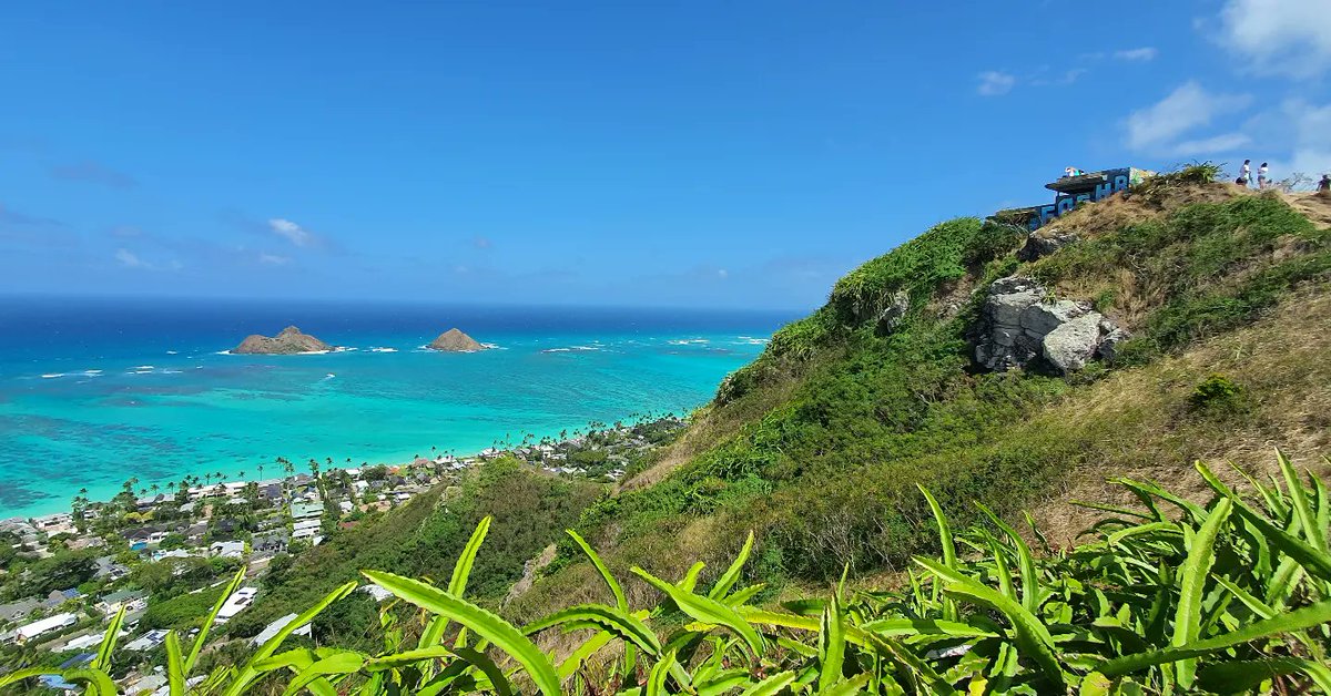 VirtualGlobeT's tweet photo. Hiking Lanikai Pillbox Trail 라니카이 필박스 트레일 하이킹

https://t.co/O6N6XPy0cr

#hawaii,#lanikai,#beach,#best,#beautiful,#most,#states,#top,#kailua,#hiking,#pillbox,#walk,#honolulu,#oahu,#trail 

#하와이,#라니카이,#필박스,#걷기,#최고,#하이킹,#등산,#산책, #뷰, #경치 https://t.co/1sEF5mvOCu