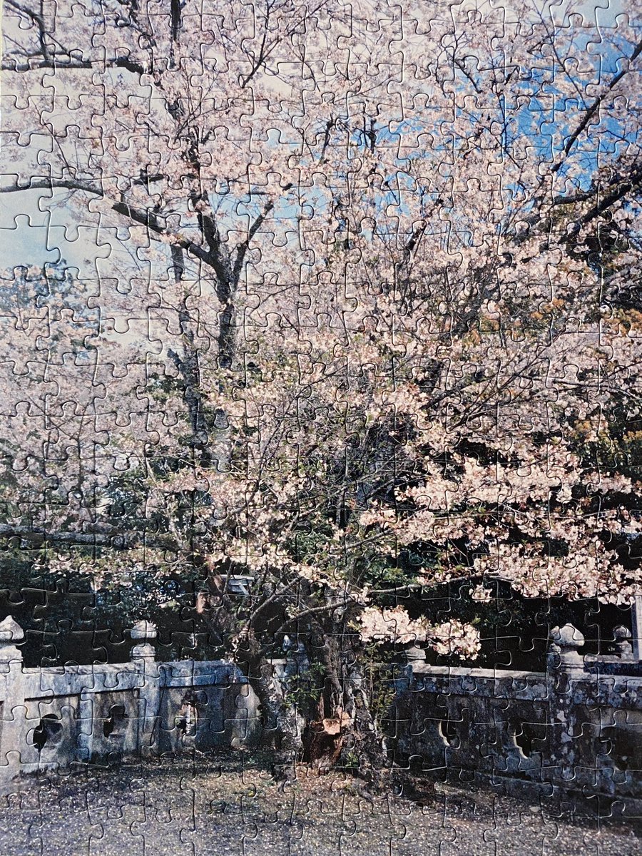 timelessgoods's tweet photo. Cherry Blossom Tree: https://t.co/Y9qlC8iLJY #Details #JigsawPuzzle #Puzzle #Japan #Summer #WishYouWereHere https://t.co/HQ90UmdxPv