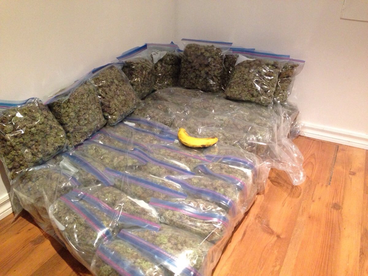 Thanks to NFTs I was able to buy my dream couch 😎