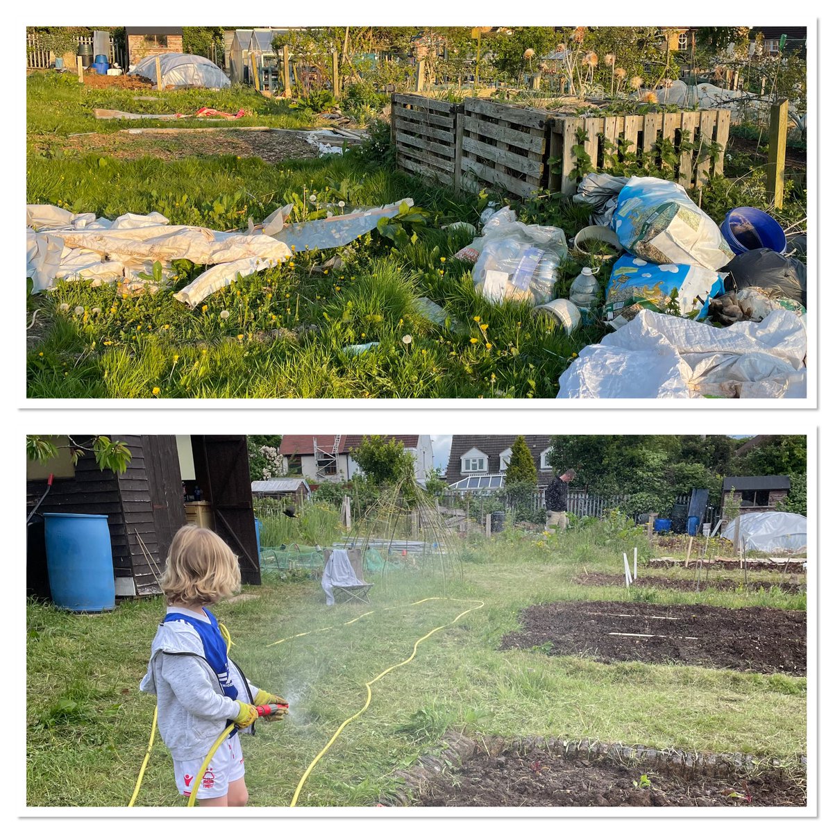 turnale3's tweet photo. The transformation so far… #newallotment #allotment #GardeningTwitter https://t.co/rWMW6MTdb9