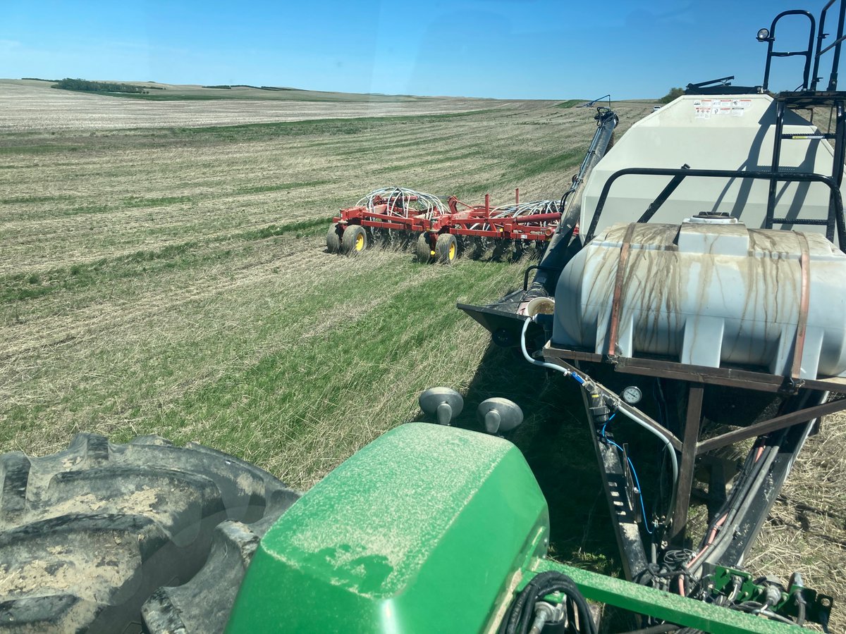 Seeding our pollinator strips into durum stripper stubble <a href="/sunsetbisonsask/">Avery Shepherd</a> <a href="/kurt_shmon/">Imperial Seed</a>