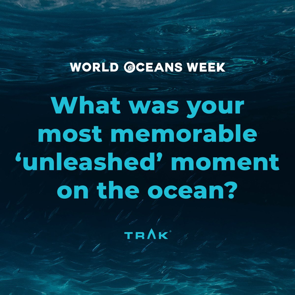 It's World Oceans Week! 
Every day we ask a different question about our relationship to the oceans… today’s is: “What was your most memorable ‘unleashed’ moment on the ocean?” 
We would love to hear from you!  
Please share and comment.
#TRAK #WorldOceansWeek #WorldOceansDay
