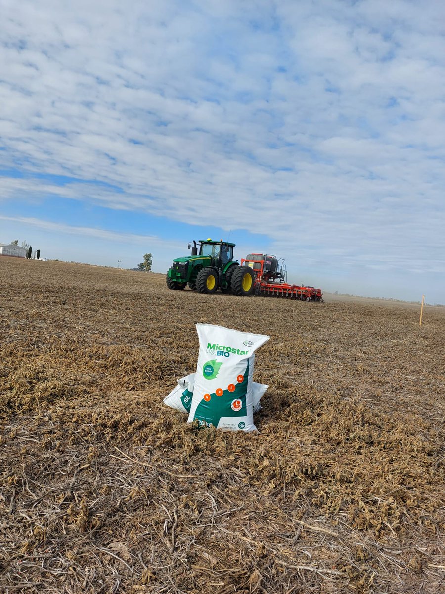 DelyarSA's tweet photo. Ensayo MICROSTAR PZ Y PZ BIO, STATUS ZINC Y VITAGROW en #TRIGO
📍Colonia Cello
@RizobacterARG
#Delyar #RedEnsayosDelyar #EquipoDelyar https://t.co/xpkyJBRpdu https://t.co/kPMTSeFKxH