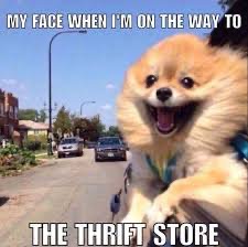 _NormalAnomaly's tweet image. TONIGHT!
Come by The Normal Anomaly’s THRIFT QUEEN thrift store, and shop for a good cause!
(Shopping at THRIFT QUEEN helps support our BQPlus Center and direct services)
#TheNormalAnomaly #BQPlus #thrift #thrifted #thriftedfashion #thriftedfinds #thriftedstyle #thriftfashion