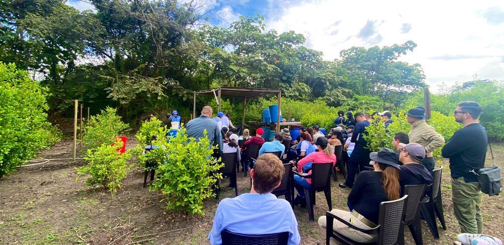 CRIMJUST_UNODC's tweet image. ✨@UNODC CRIMJUST provides criminal justice practitioners from Central America &amp;amp; the Caribbean w/ the knowledge to adapt their targeting strategies &amp;amp; enhance their capacities to investigate &amp;amp; prosecute illicit drug production 
✨Special shoutout to our experts #SIMCI @UNODCROCOL