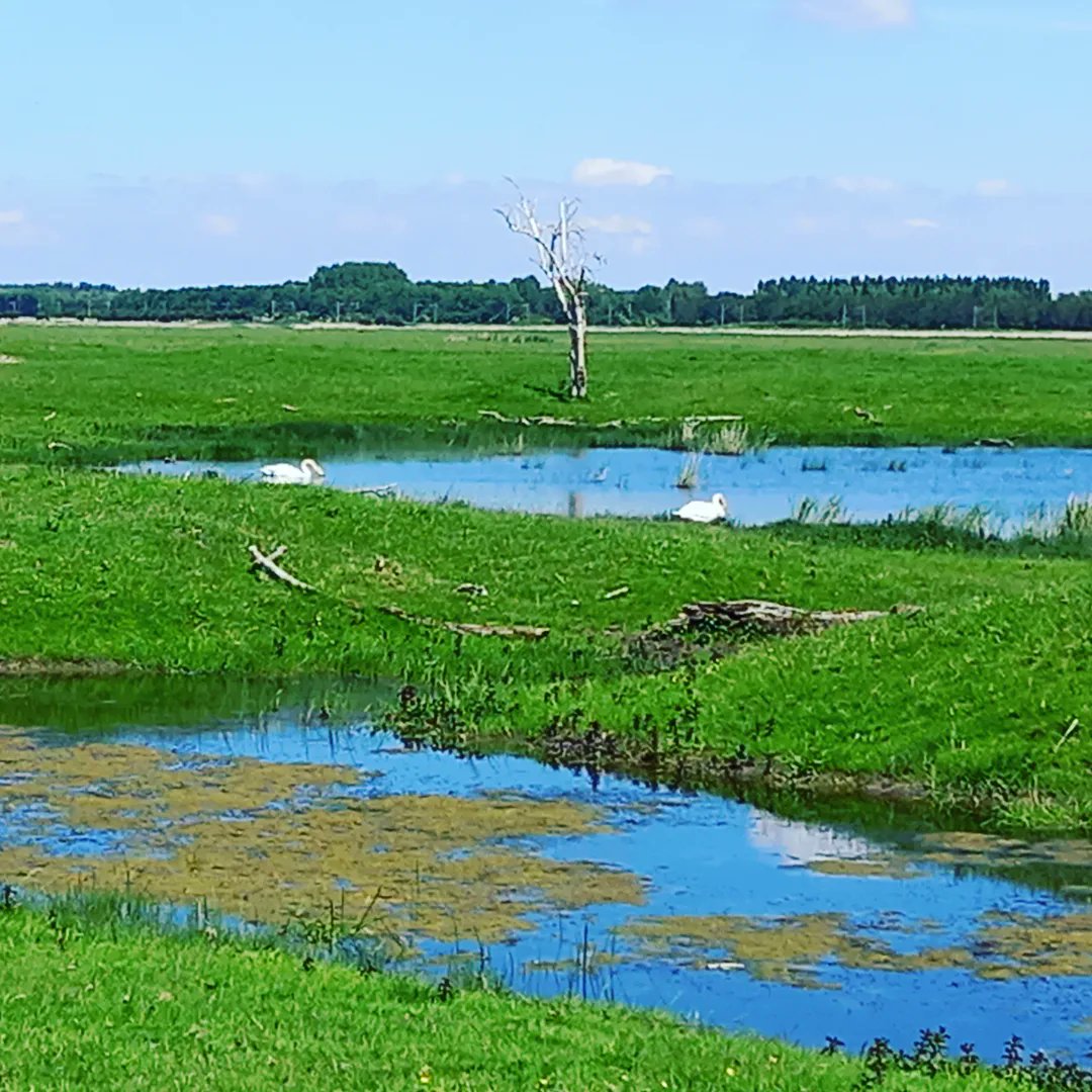 Prachtige dag @oostvaardersplassen <a href="/staatsbosbeheer/">Staatsbosbeheer</a>