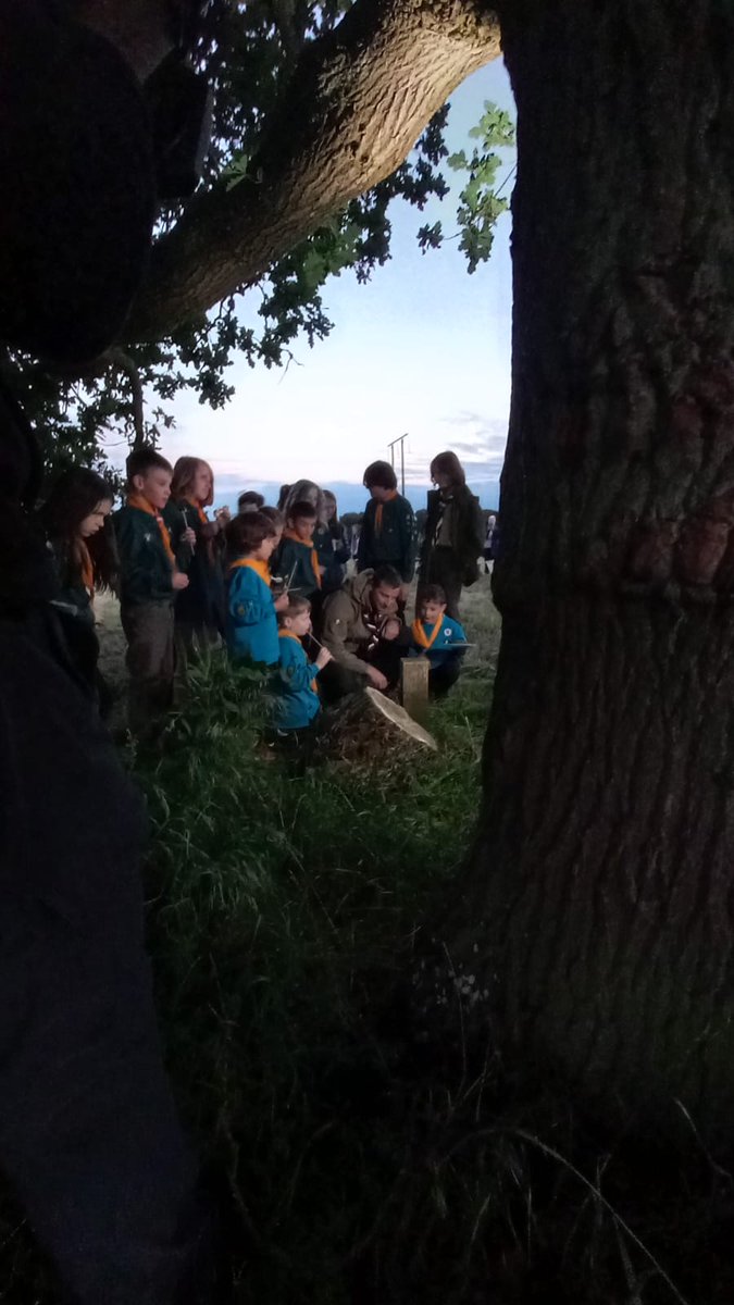 Scouts tweet media