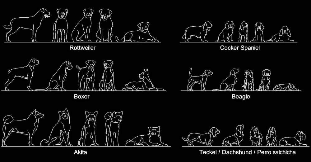 dwgAutocad's tweet photo. Bloques AutoCAD de Personas / Animales en planta y alzado 
Descarga gratis ➡️ https://t.co/mvembSORiS

#bloquesautocad #CADblocks #AutoCAD #arquitectura #diseñoarquitectonico #CAD https://t.co/4H9usnXuAr