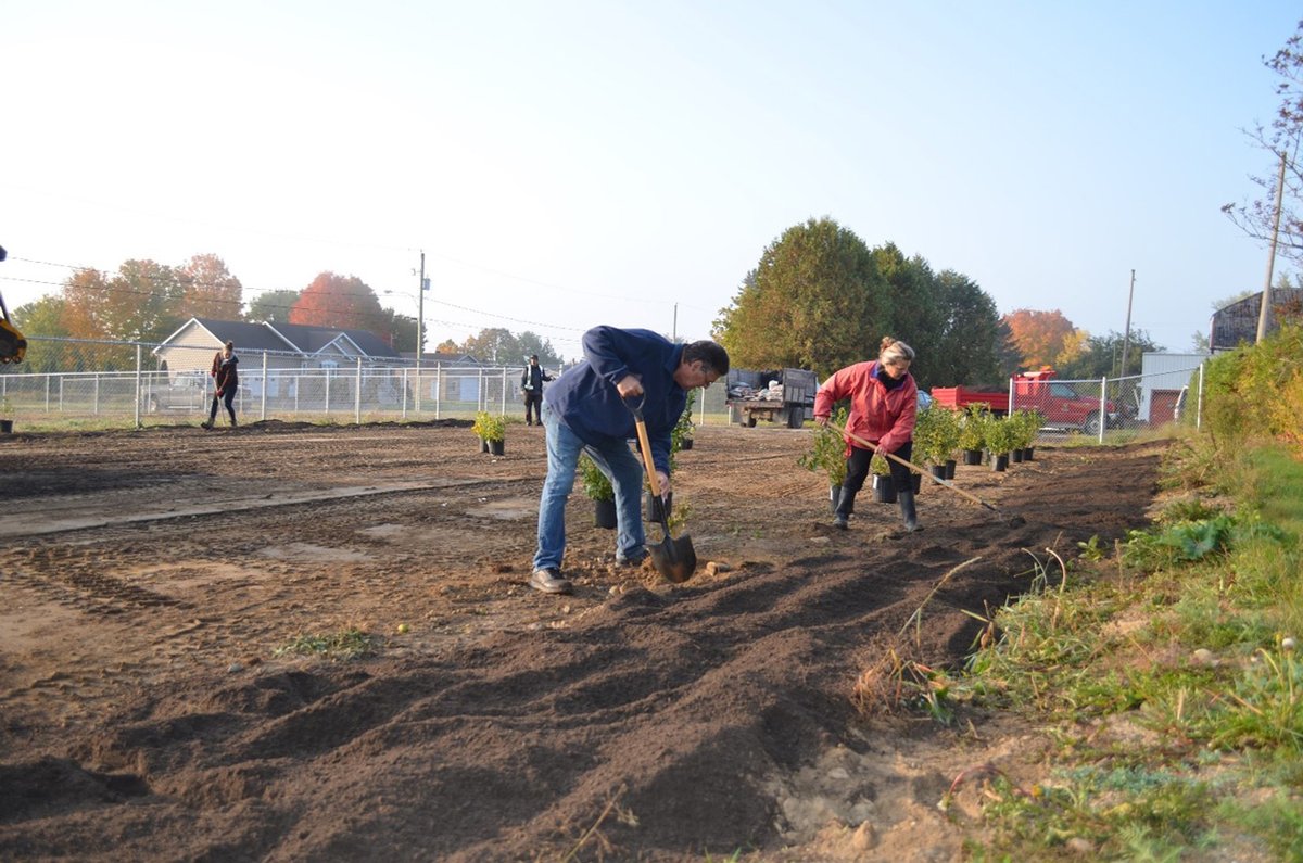 TreeCanada's tweet photo. If youβre planning a community garden or orchard this year, or have been thinking about planting #edibletrees in your backyard, we've put together a few recommendations to consider before choosing which edible trees to plant! π³π Read our latest blog: https://t.co/tavHzBlGnB https://t.co/3lEVvV2Ol3