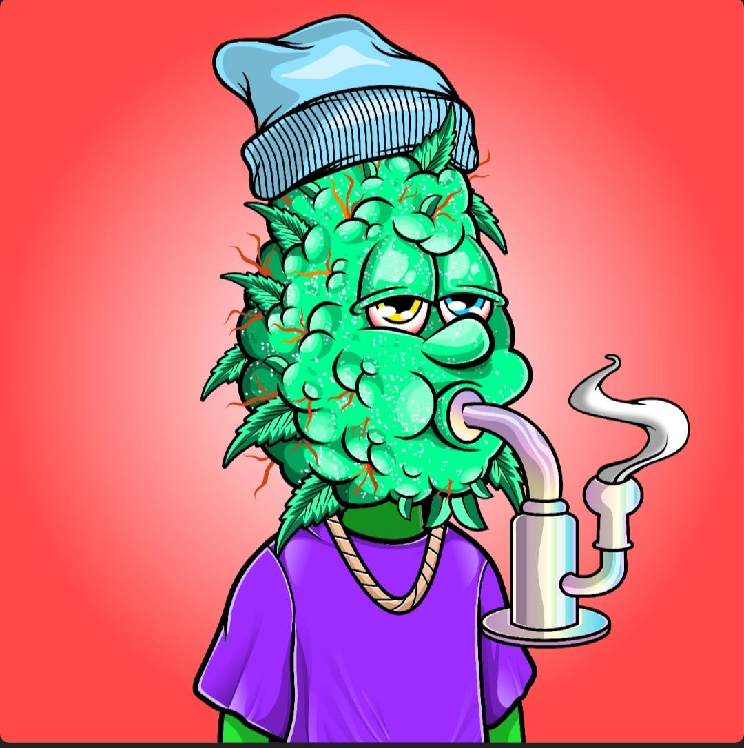 BongHit | WAGG 🌱 tweet media