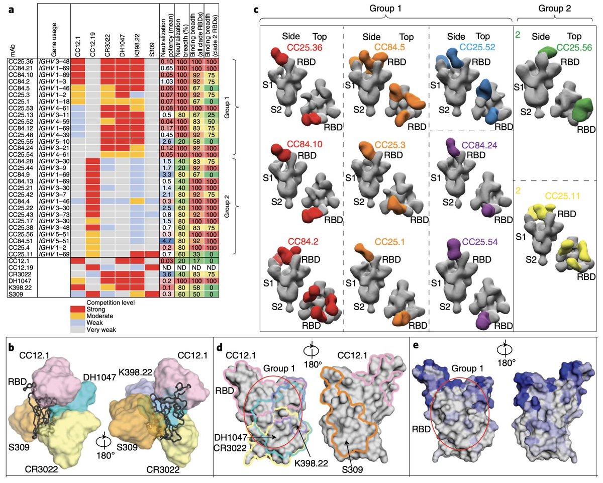 A new study showing #diverse #human protective #broadly #neutralizing #antibodies against #SARS-like #viruses.
Congratulations #RaieesAndrabi and team. #NatureImmunology.
nature.com/articles/s4159…
