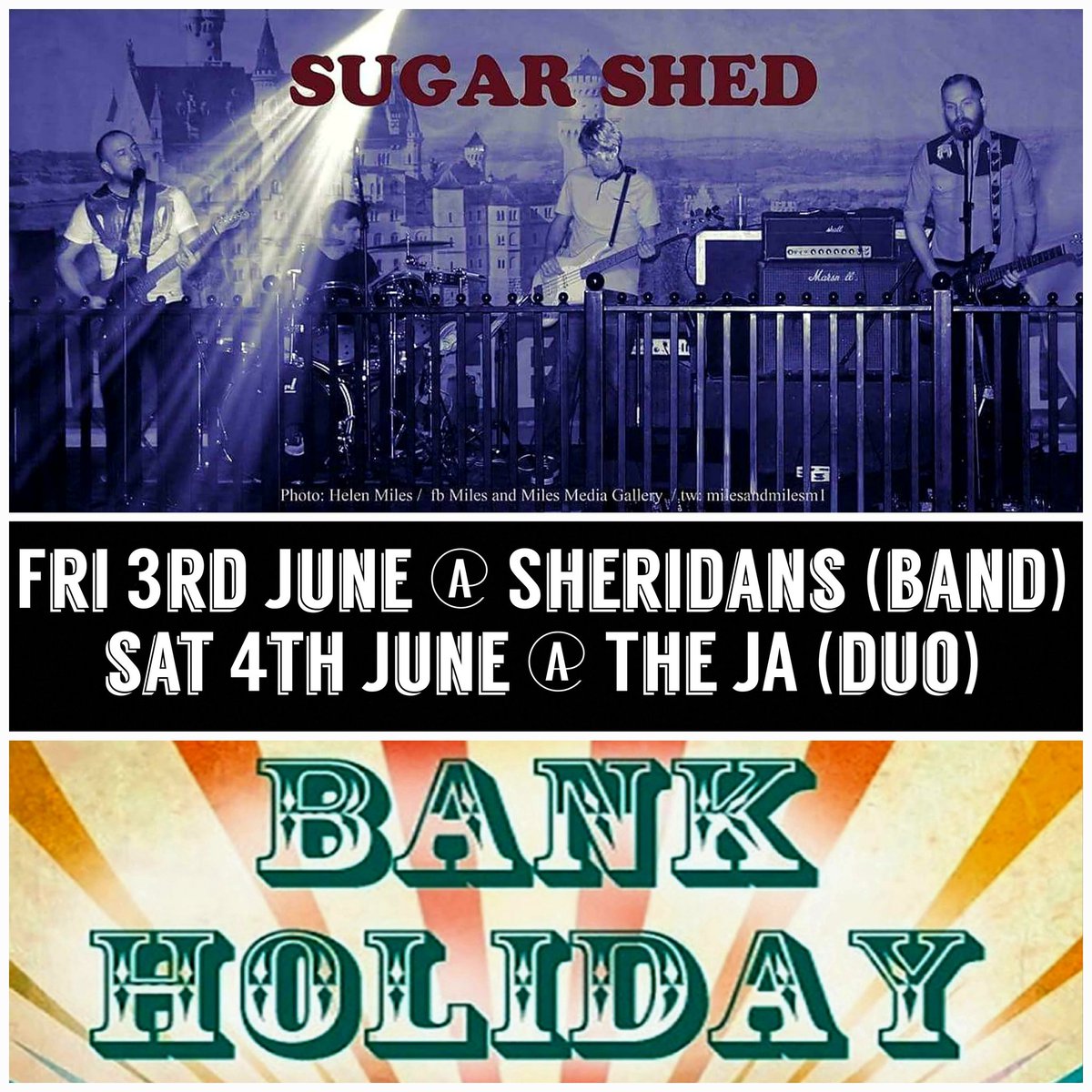 Sugar Shed tweet media