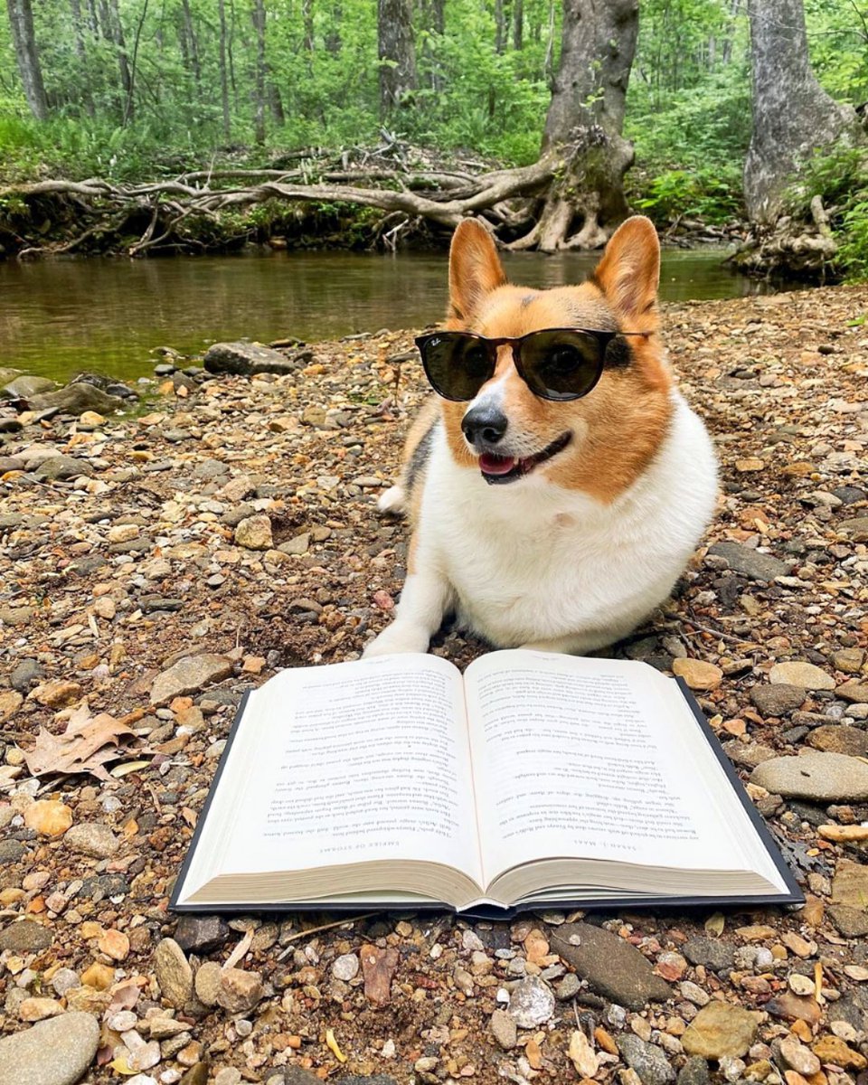 oprahsbookclub's tweet photo. There's no place we wouldn't read — even in the middle of a hike. Do you bring a book wherever you go? #ReadWithUs 

Tags: @_bingereader https://t.co/WxWcBdbTpC