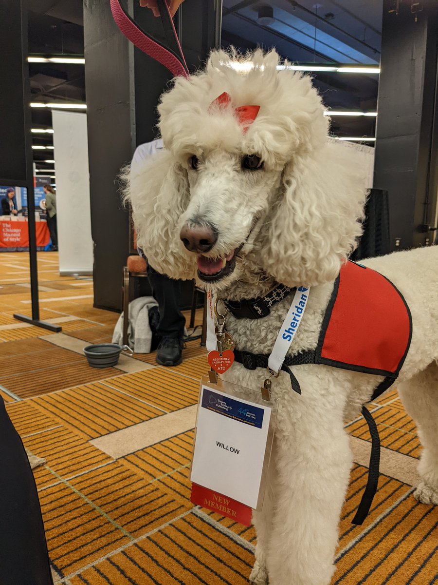 dm_cooper's tweet image. Meeting lots of great people at #SSP2022, including Willow.