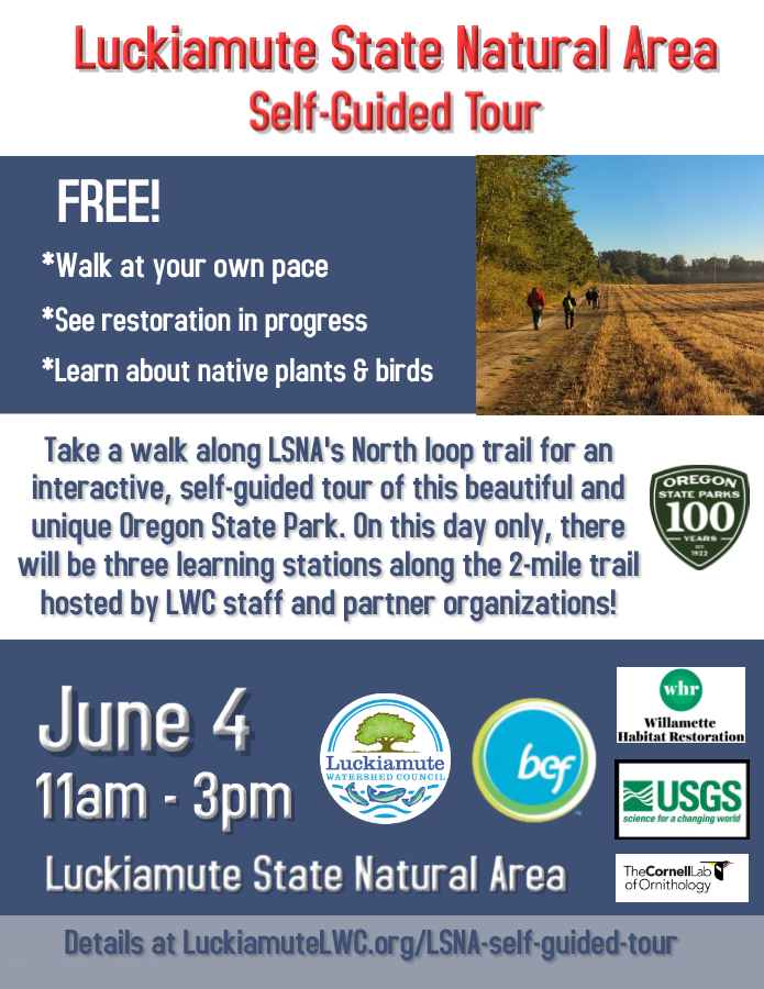 LuckiamuteWC's tweet photo. On June 4, you are invited to two unique opportunities to explore our state parks &amp; natural areas! First, come to the 100th Anniversary of Oregon State Park system at Sarah Helmick, then head over to Luckiamute State Natural Area for a self-guided tour! - https://t.co/BFfl2oNVqt https://t.co/33jsTe50uW
