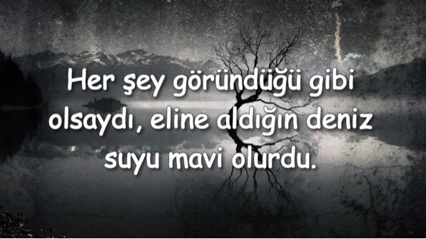 Asil tweet media