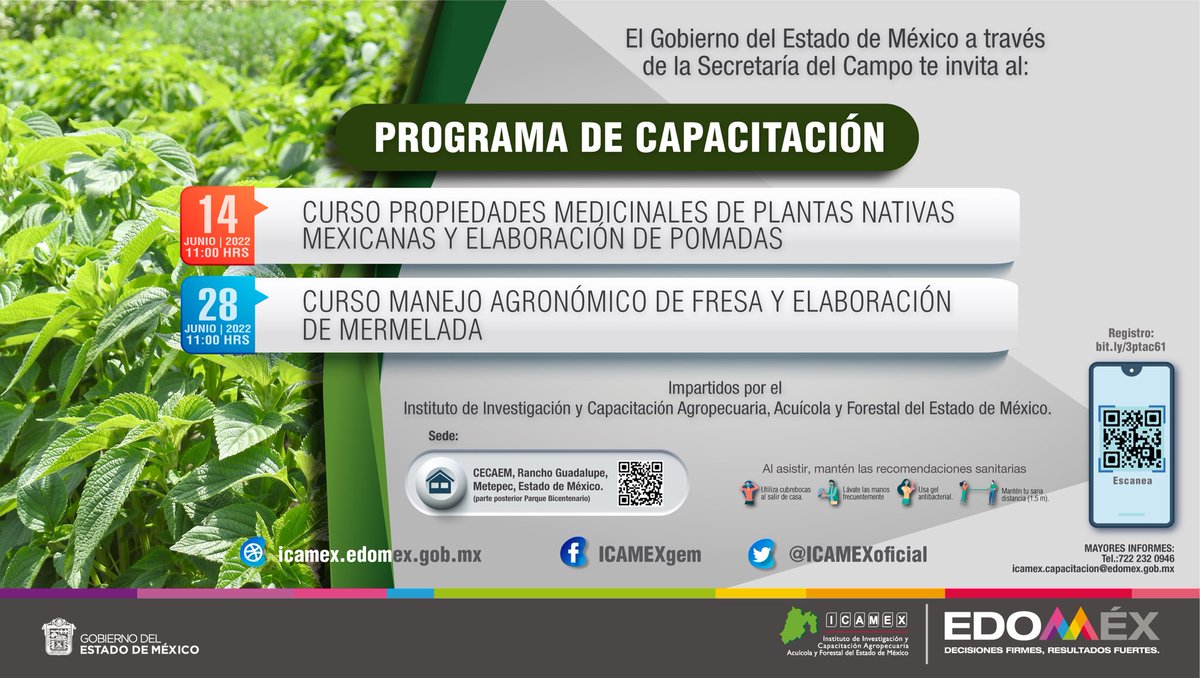 ICAMEXoficial's tweet photo. El #ICAMEX, pone a disposición de los productores de la entidad, un programa de capacitación teórico-práctico a impartirse en el #CECAEM, abarcando las principales áreas productivas mexiquenses.
#LaTierraQueNosUne 🪴
#EquipoSeCampo
@CampoEdomex https://t.co/rWCi0CoQBj