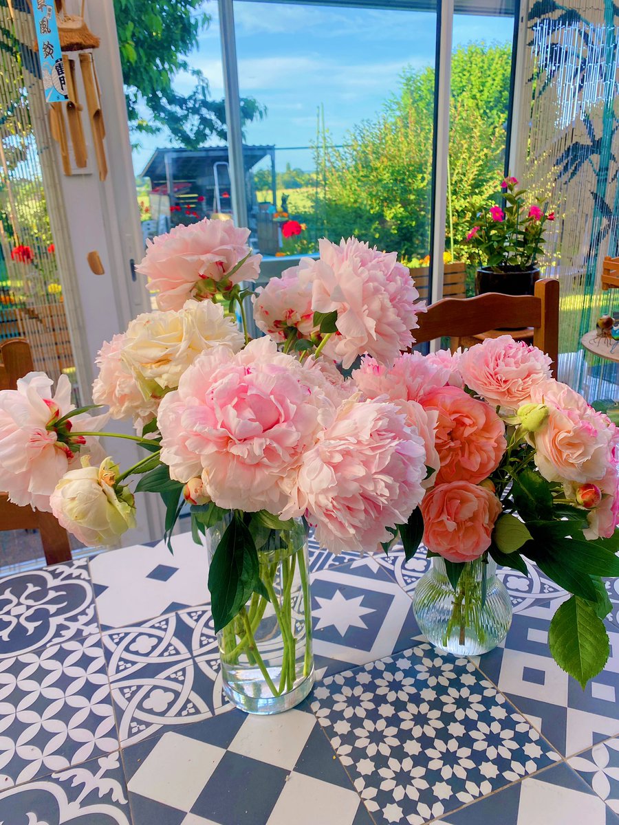 posicarole's tweet photo. Petit bouquet du jardin 💐✨ https://t.co/0d5CtVWFMY