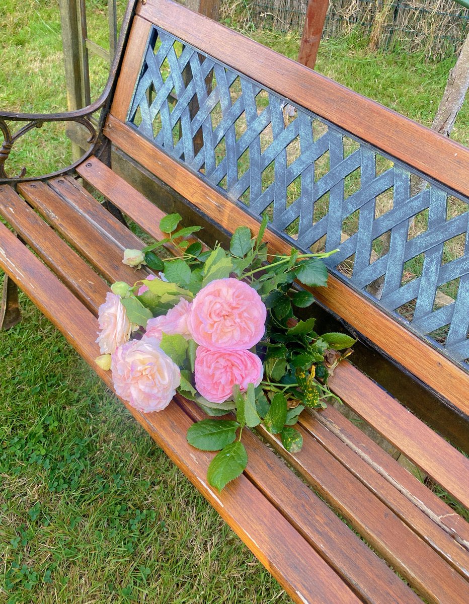 posicarole's tweet photo. Petit bouquet du jardin 💐✨ https://t.co/0d5CtVWFMY