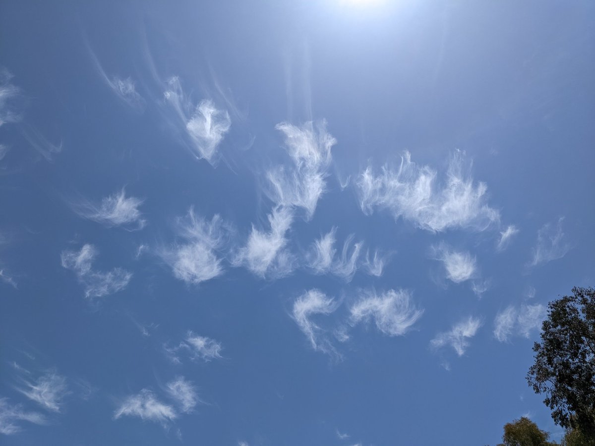 KnechtSTEM's tweet photo. @StephAquino3 @SRTMSEagles I seriously just took this picture from home an hour ago! Fabulous cirrus clouds today! Missing the view from school though 🌞 https://t.co/sl0CWa6ciO
