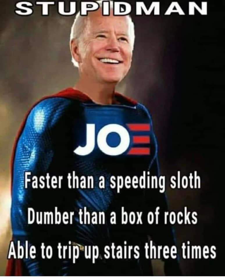 Blinkz04's tweet photo. Oofπ€¦π»ββοΈππ #SuperSlothy #SuperDummy #Thefive @DavidWohl @SebGorka https://t.co/HwrSpcPCY3