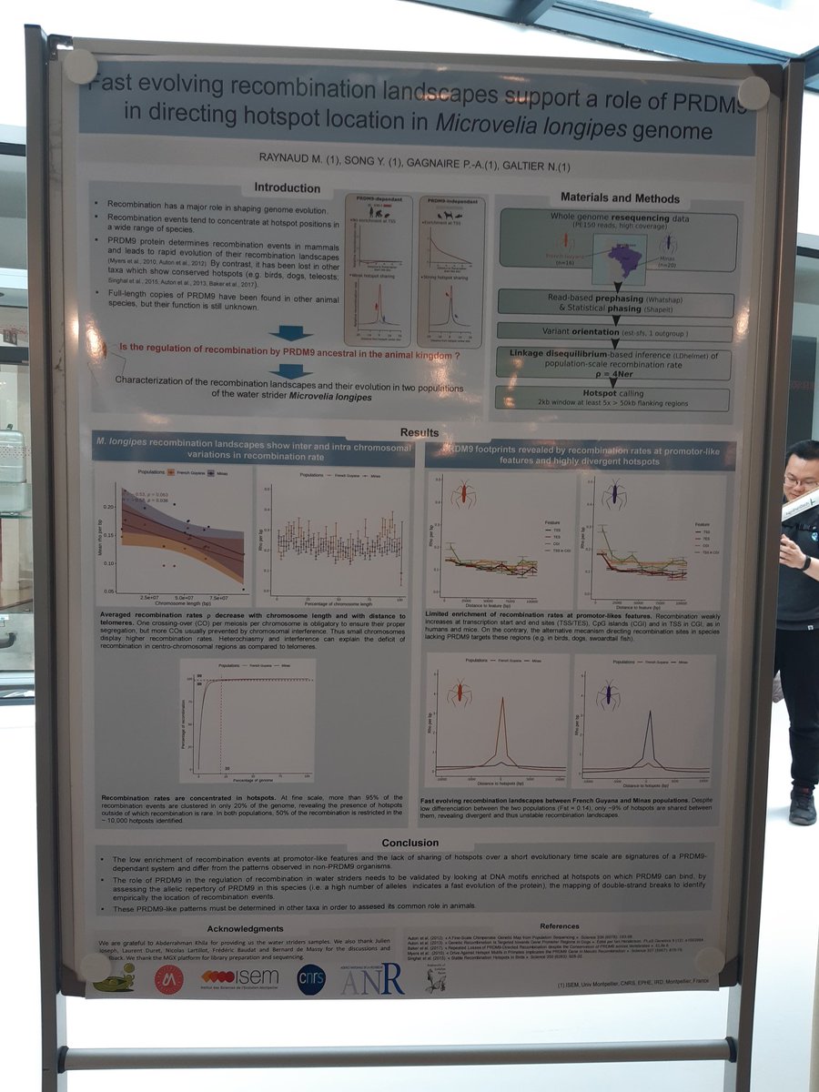 Marie Raynaud tweet media