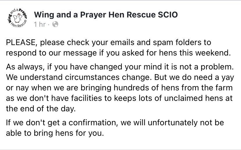 WAAP Hen Rescue (@waaphenrescue) on Twitter photo 