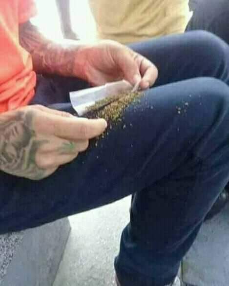 MaconheiroMemo's tweet image. imagem de dor e sofrimento