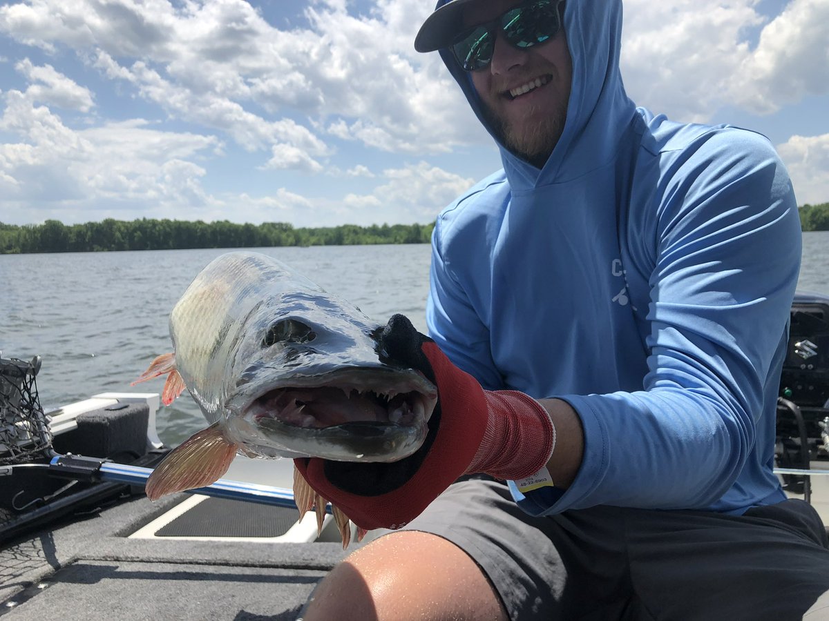 tskip012's tweet image. Summer time vibes