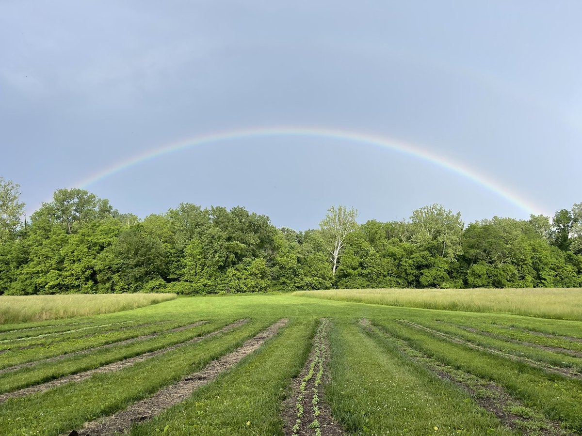 Mark Vander Kooy (@m_vanderkooy) on Twitter photo 