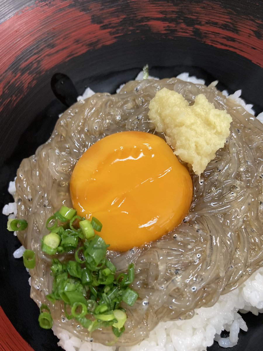 本日獲れたて生しらす丼！富士山も港越しに見えています。