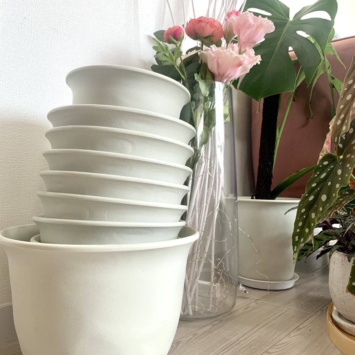 botanical_happy's tweet photo. おはぁ🥰
pic1 無造作植物ジャングル🥰
pic2 部屋の隅でうずたかく積まれた鉢たち
植物日記はコチラから👇
https://t.co/jM8jLSrMCK
#フィカス #ficusfriday #ベゴニアマクラータ #観葉植物 #インテリア #インテリアグリーン #グリーンインテリア https://t.co/ekUInaSHYV