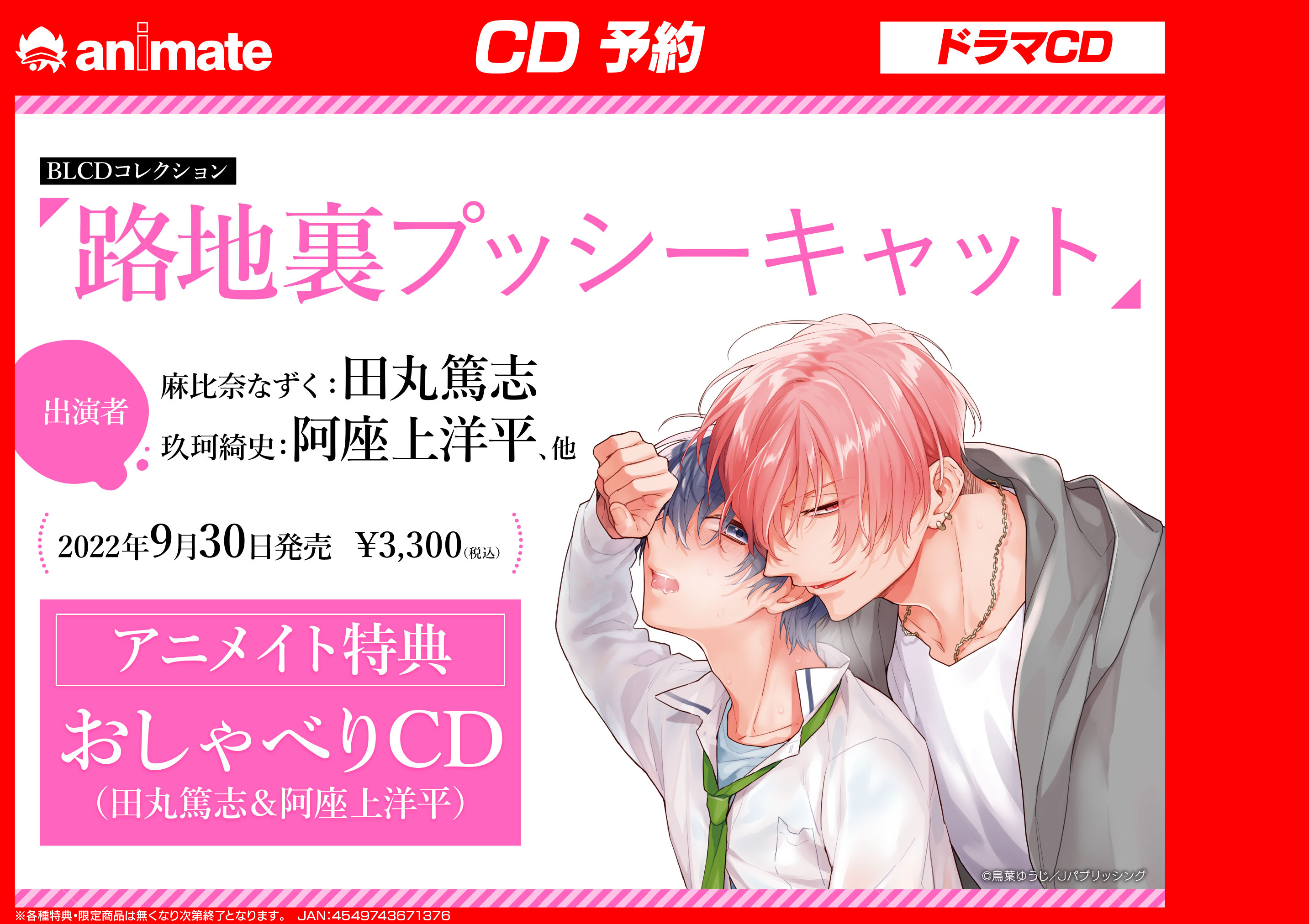 2025年最新】路地裏プッシーキャット cdの人気アイテム - メルカリ