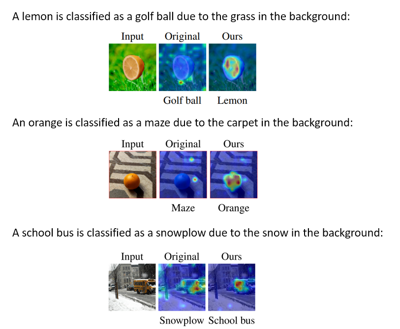 hila_chefer's tweet photo. [1/n] Can explainability improve model accuracy? Our latest work shows the answer is yes!
https://t.co/OMts8xHqOC
https://t.co/xvx5VZjmoF

We noticed that ViTs suffer from salient issues- their output is often based on supportive signals (background) rather than the actual object https://t.co/EQlKT5Iwt5