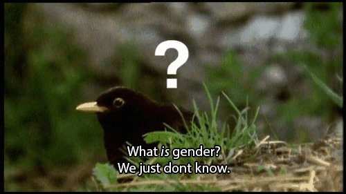 WasabiMichii's tweet photo. I've gone completely feral on social media, most about Pride shit, but here's more

My pride vibes in 4 photos https://t.co/ugnCZ73t61