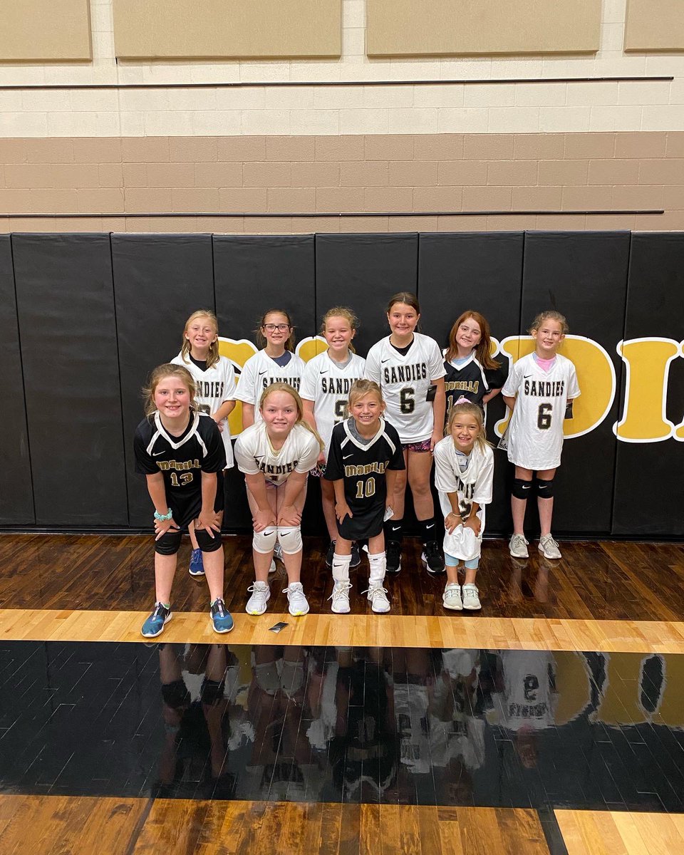 AHS Volleyball tweet media