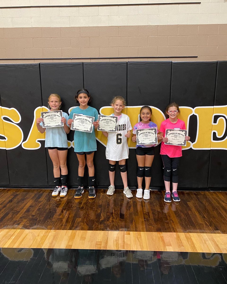 AHS Volleyball tweet media