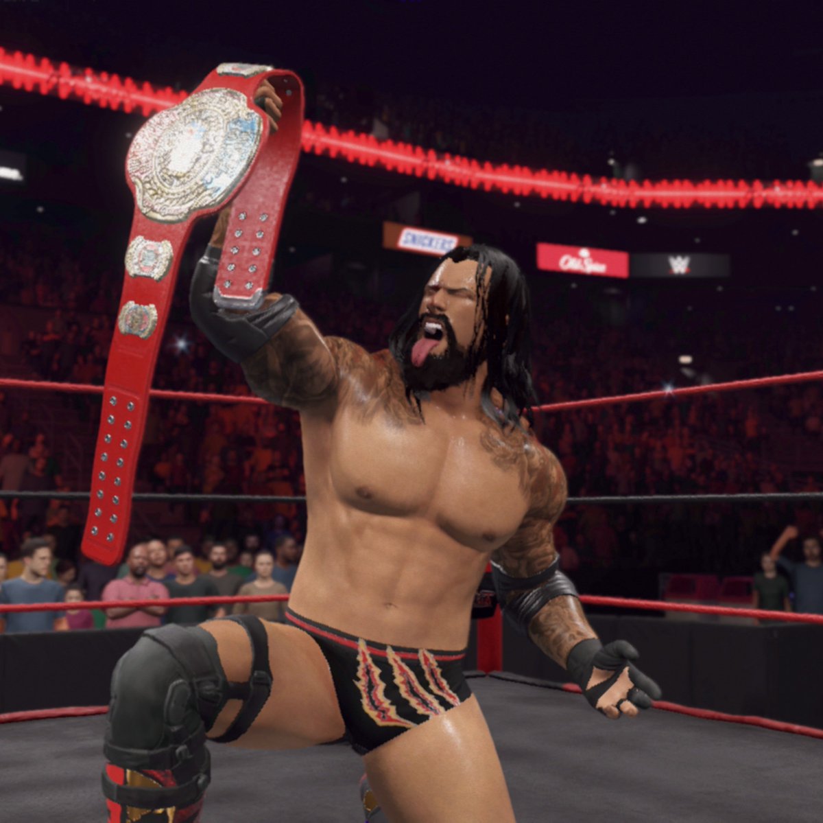 Jesse Wolf tweet media