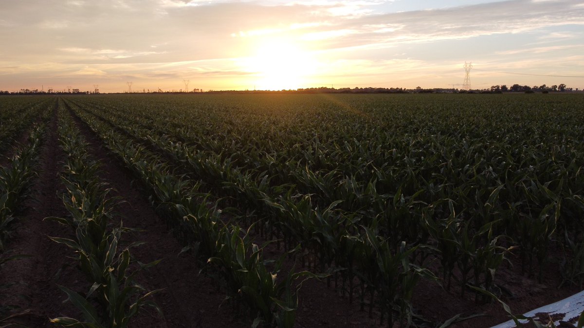 Melissa Donner tweet media