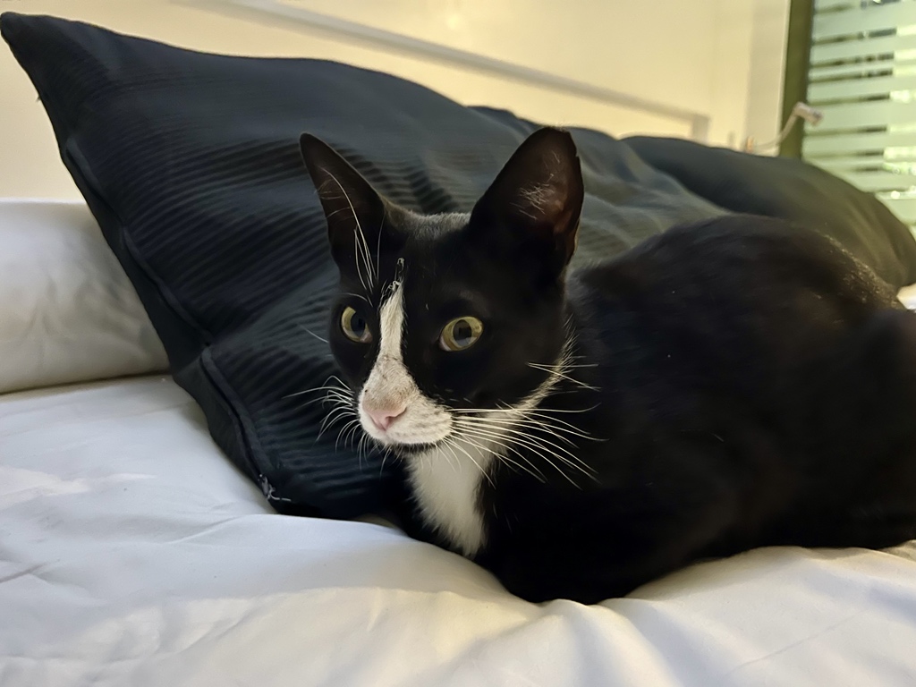 Ole Bixmann tweet media