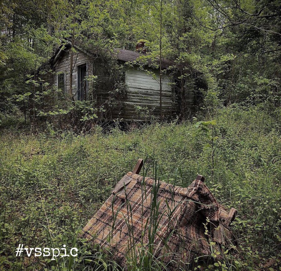 aintallhere's tweet photo. Little south of our homestead is an old cottage, think it was my great grams place. My little brother and me used to play there before he caught the clospers and got took to the city, which, he never come back from.

#VssNonsense (clospers) #vsspic https://t.co/0cr749LEwd
