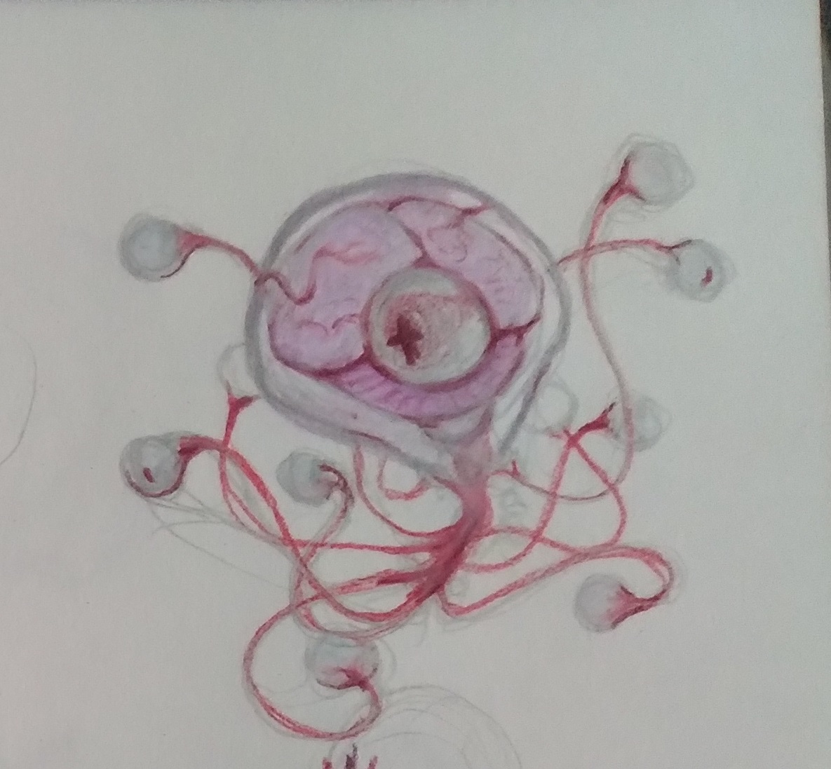 DevouringEye's tweet image. jellyfish beholder mild color